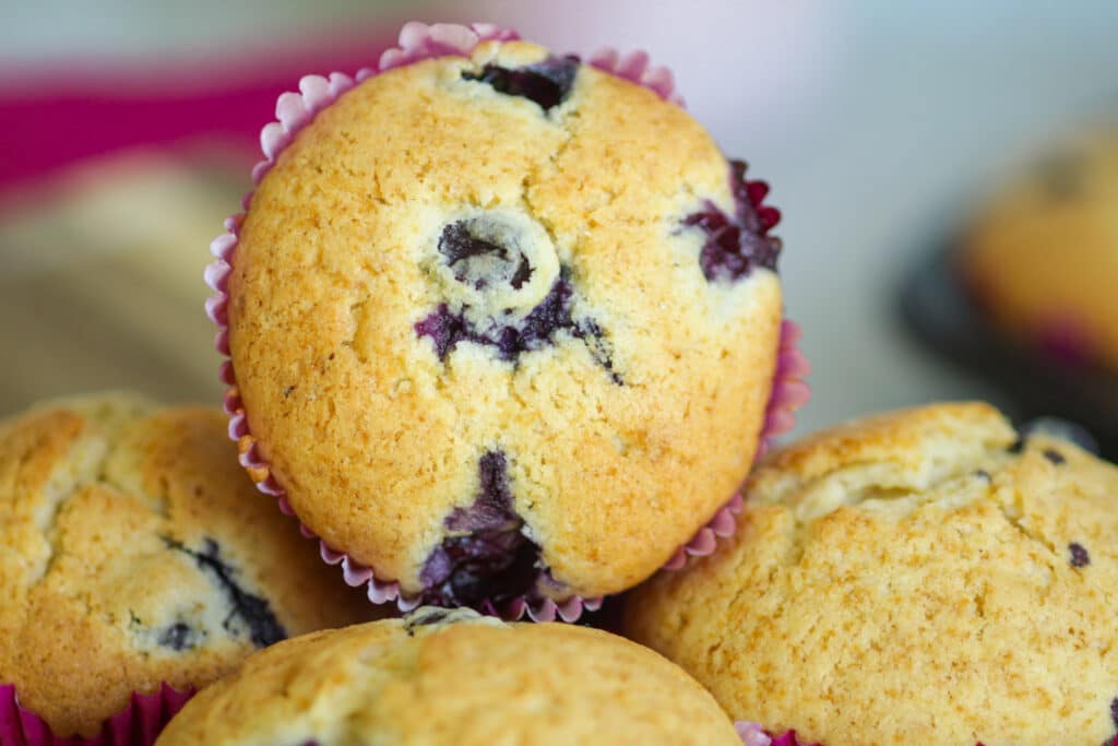 Blaubeer Muffins