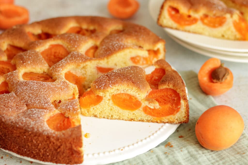 Aprikosenkuchen Rezept Springform