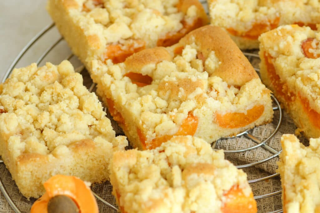 schneller Aprikosenkuchen mit Streusel vom Blech